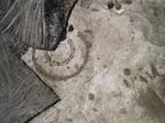 cv060407_022