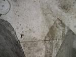 cv060407_138
