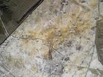 cv060407_236