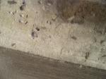cv060428_017