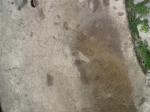 cv060428_045