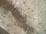 cv060428_050