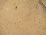 cv060609_199