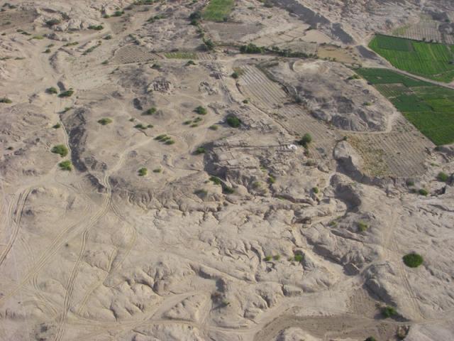 CV20080201_022