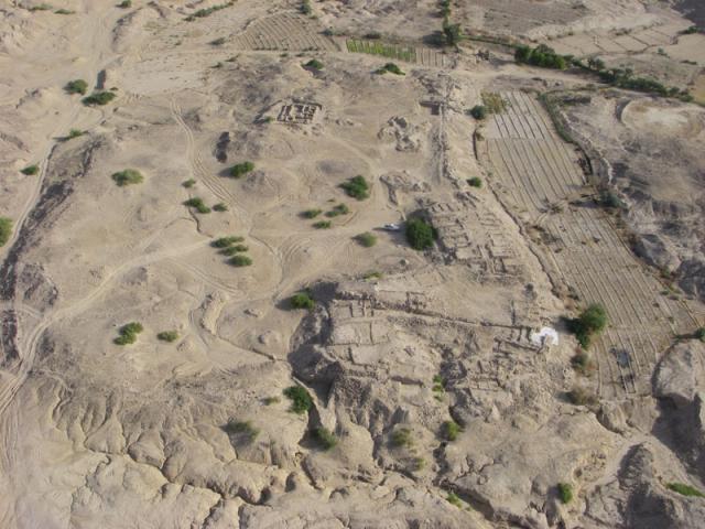 CV20080201_047