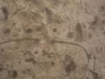 KAP080908_315