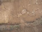 KAP08_30616