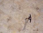 KAP091013_468