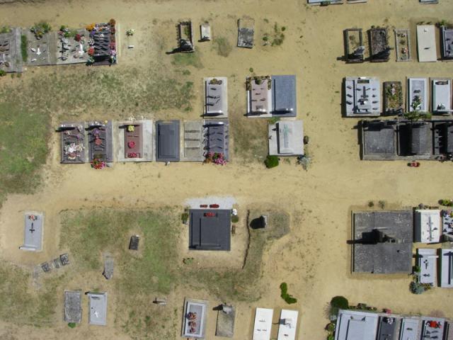 CV20080720_024_reduc
