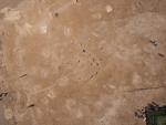 KAP20110504_030
