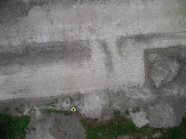 imgp0812