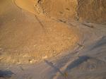 cv051211_239